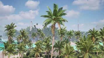 CGI Lush palm trees under a bright sky on a serene beach in the Bahamas video