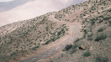 CGI Winding dirt road through the Pamir Mountains in Tajikistan at dusk video