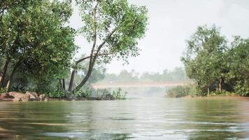 CGI Tranquil river view with lush greenery and a distant bridge at dawn video