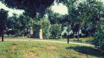 CGI Pathway winding through lush green park with large trees and lanterns video
