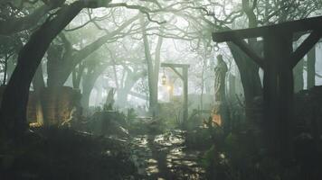 cgi misterioso brumoso bosque con antiguo estructuras y tenuemente iluminado linternas video