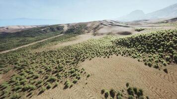 CGI Desert landscape with low shrubs amongst surrounding mountains video