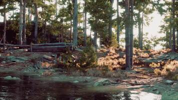 CGI Tranquil lakeside retreat in a forest during the golden hour light video