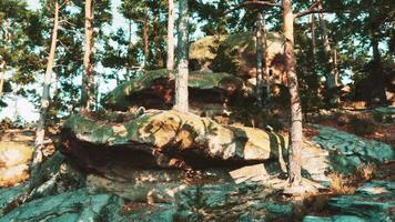 CGI Rocky landscape with trees and sunlight in a serene outdoor setting video