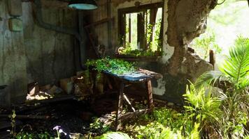 CGI Abandoned room overgrown with plants in a derelict building in nature video