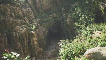 CGI Exploring the lush greenery and rocky entrance of a cave in India at midday video
