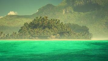 CGI A serene Maldives island with lush palms under a clear sky video