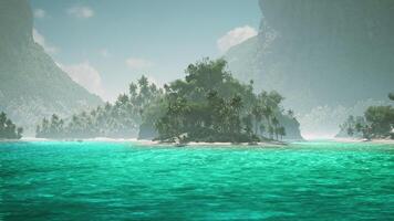CGI Tranquil lagoon surrounded by lush greenery in the Maldives under sunny skies video