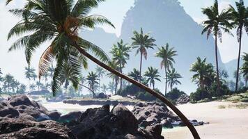 CGI Serene beach view in Tahiti featuring palm trees and rocky coastline video