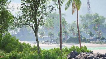 CGI Serene Tahiti landscape with lush greenery and tranquil beach in daylight video
