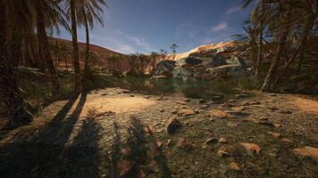 CGI Calm oasis surrounded by palms in a serene desert landscape during daylight video