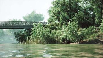 CGI A serene riverside view with a bridge surrounded by lush greenery at midday video