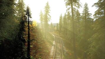 CGI Sunlight filters through trees along a winding railway in the mountains video
