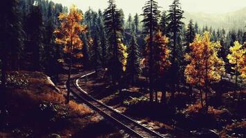CGI Autumnal landscape with railway tracks winding through colorful trees video