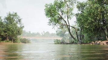 CGI Calm river landscape with lush greenery and a distant bridge in the morning video