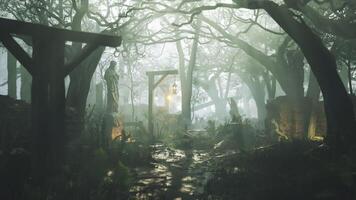 cgi misterioso niebla cubierto ruta en un antiguo bosque con linternas a oscuridad video