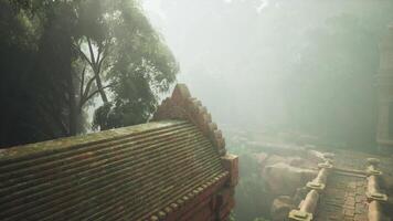 CGI Ancient temple hidden in the lush jungle of Vietnam during misty morning light video