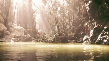 CGI Serene riverside view surrounded by lush forest during golden hour light video