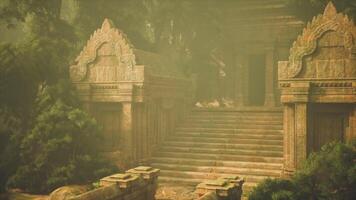 CGI Ancient temple ruins surrounded by lush vegetation in misty environment video