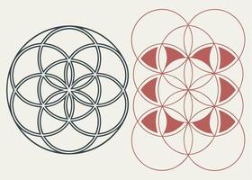 Flower of life sacred geometry circles pattern design illustration vector