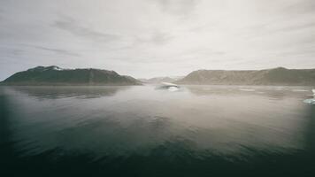CGI Stunning view of tranquil waters and icebergs in Greenland under soft light video