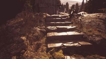 cgi pedra passos conduzindo para uma rústico cabine dentro uma sereno floresta configuração video