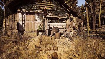 CGI Old rustic house surrounded by nature with worn out textures and details video
