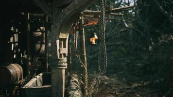 CGI Rustic wooden structure illuminated by a lantern in a natural setting video