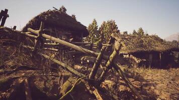 CGI Rustic landscape showcasing traditional huts surrounded by nature video