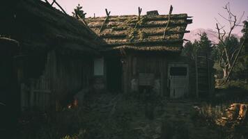 CGI Weathered wooden cabin with mossy roof in a tranquil forest setting video