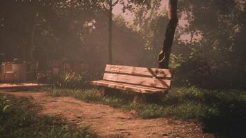 CGI Peaceful wooden bench in a quiet park surrounded by lush greenery video
