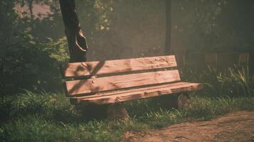 CGI Wooden bench situated in a serene park surrounded by lush greenery video