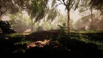 CGI Tranquil park scene with benches under trees in soft morning light video
