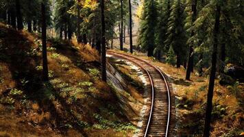 CGI Serene curve of railway tracks meandering through a dense forest landscape video