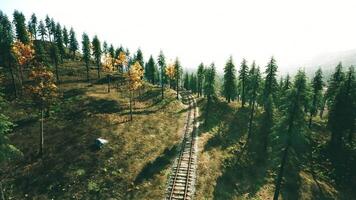 CGI Scenic view of a winding railway track through a lush forest landscape video
