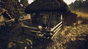 CGI Rural cabin surrounded by trees with a rustic look in the morning light video
