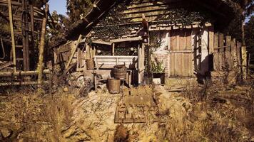 CGI Abandoned rustic house surrounded by overgrown landscape during daytime video