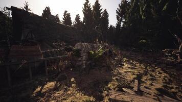 CGI Abandoned structure surrounded by dense forest under bright sunlight video