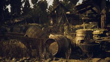CGI Old wooden barrels surrounded by weeds in a rustic outdoor setting video