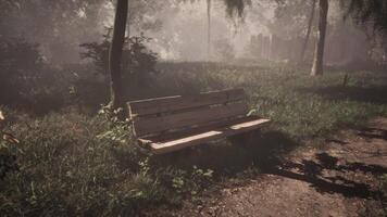 CGI Serene bench in a foggy park surrounded by trees and grass video