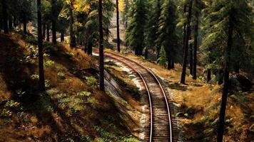 CGI Winding railway track through forested area during autumn season video