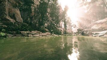 CGI Bright sunlight filtering through trees above a serene forest pond video