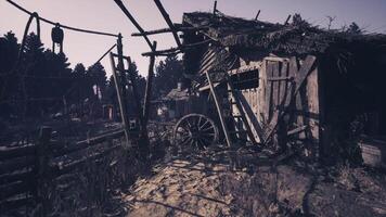 CGI Old wooden structure in a forest clearing during late afternoon light video
