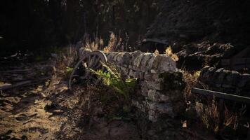 CGI Old stone wall with a wooden wheel and ferns in a forest setting video