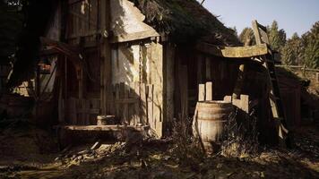 CGI Rustic cottage with a thatched roof surrounded by nature in daylight video