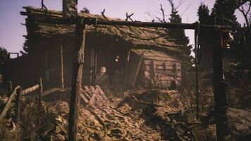 CGI Weathered cabin in a remote forest during the afternoon light video