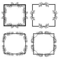 Captivating Floral Borders Alluring Decorative Frames vector