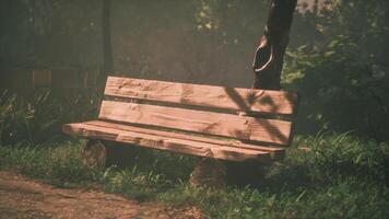 CGI Wooden bench in a tranquil forest setting with soft sunlight filtering through video