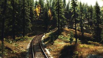 CGI Quiet railway tracks winding through a serene forest in autumn light video