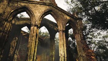 CGI Ruins of an ancient structure surrounded by trees and mist in an eerie setting video